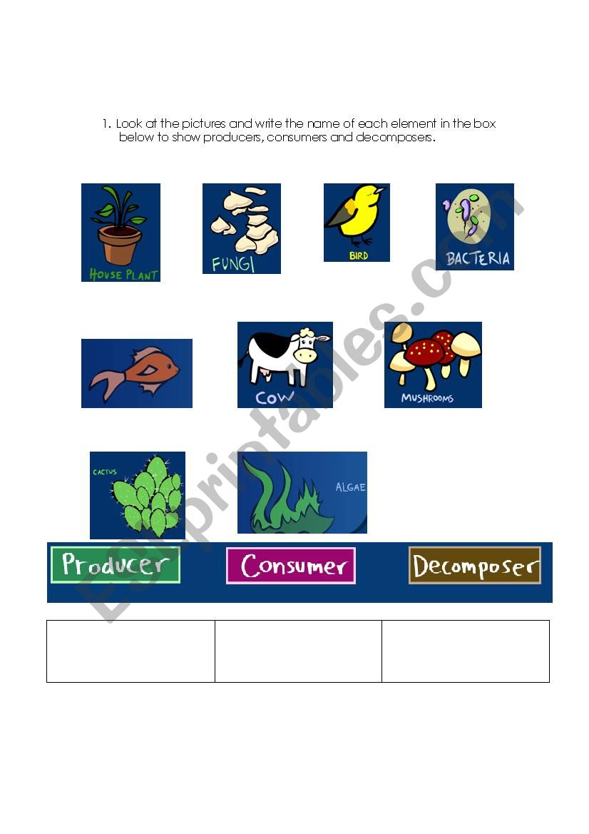 Producers, consumers and decomposers - ESL worksheet by juankmora Pertaining To Producer Consumer Decomposer Worksheet