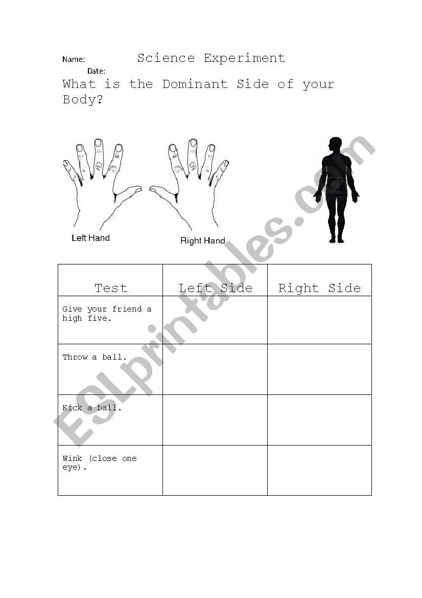 What is your dominant side? worksheet