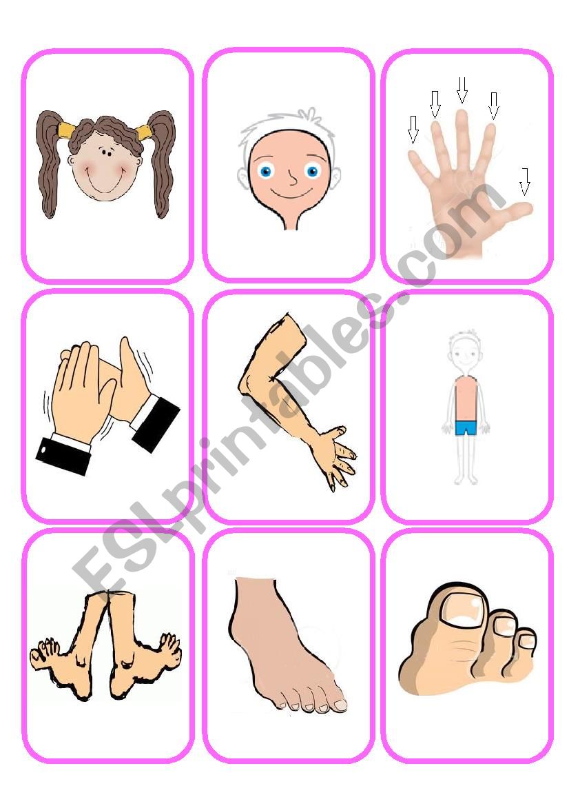 Body parts- part 2 worksheet