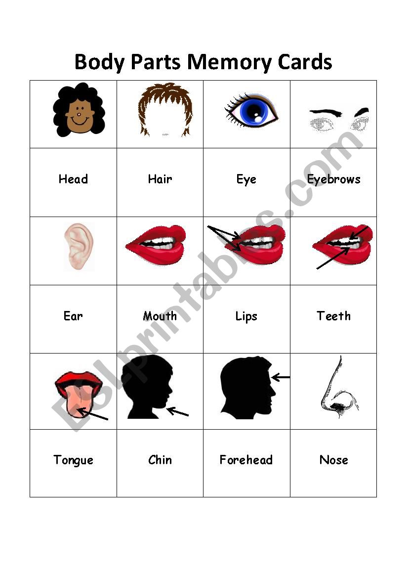 Body parts memory cards worksheet