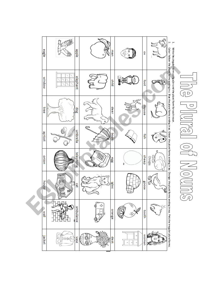 Singular and Plural forms illustrated