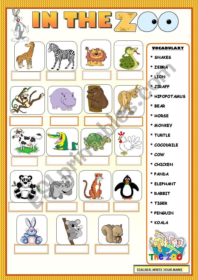 In the zoo worksheet