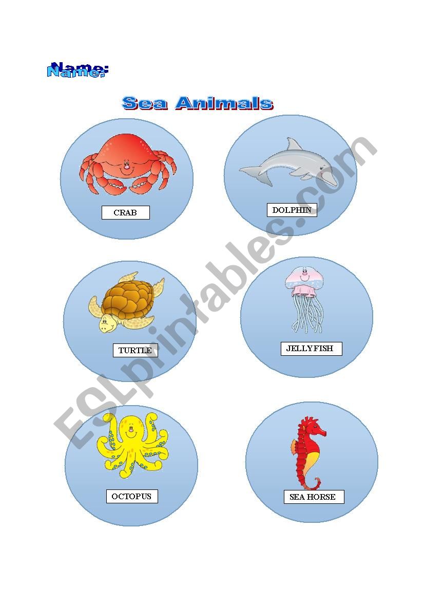 Sea Animals worksheet