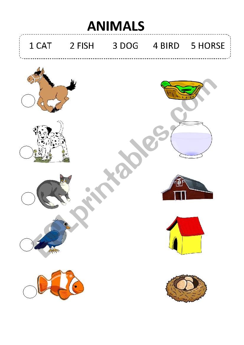 ANIMALS - basic worksheet
