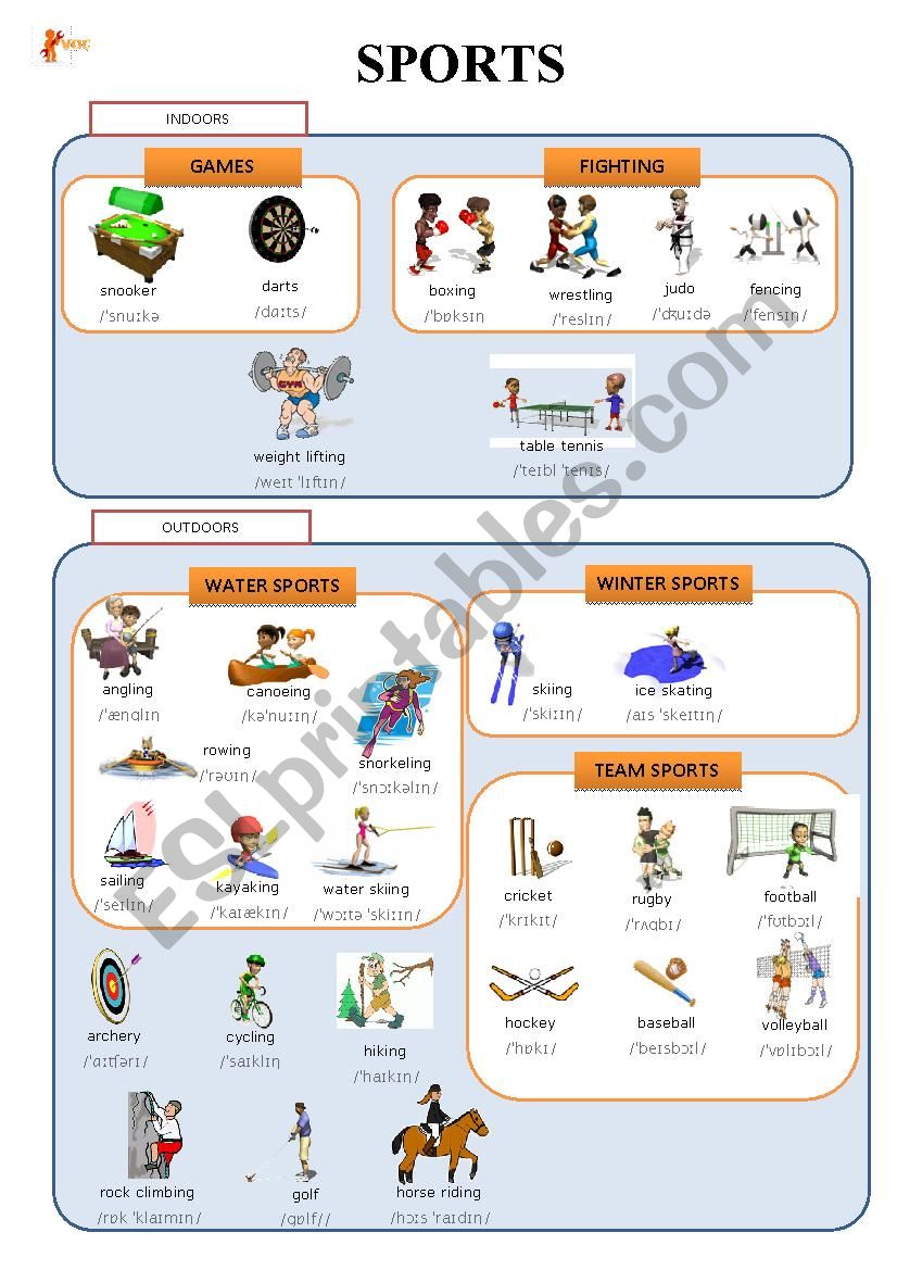 Sports Vocabulary worksheet