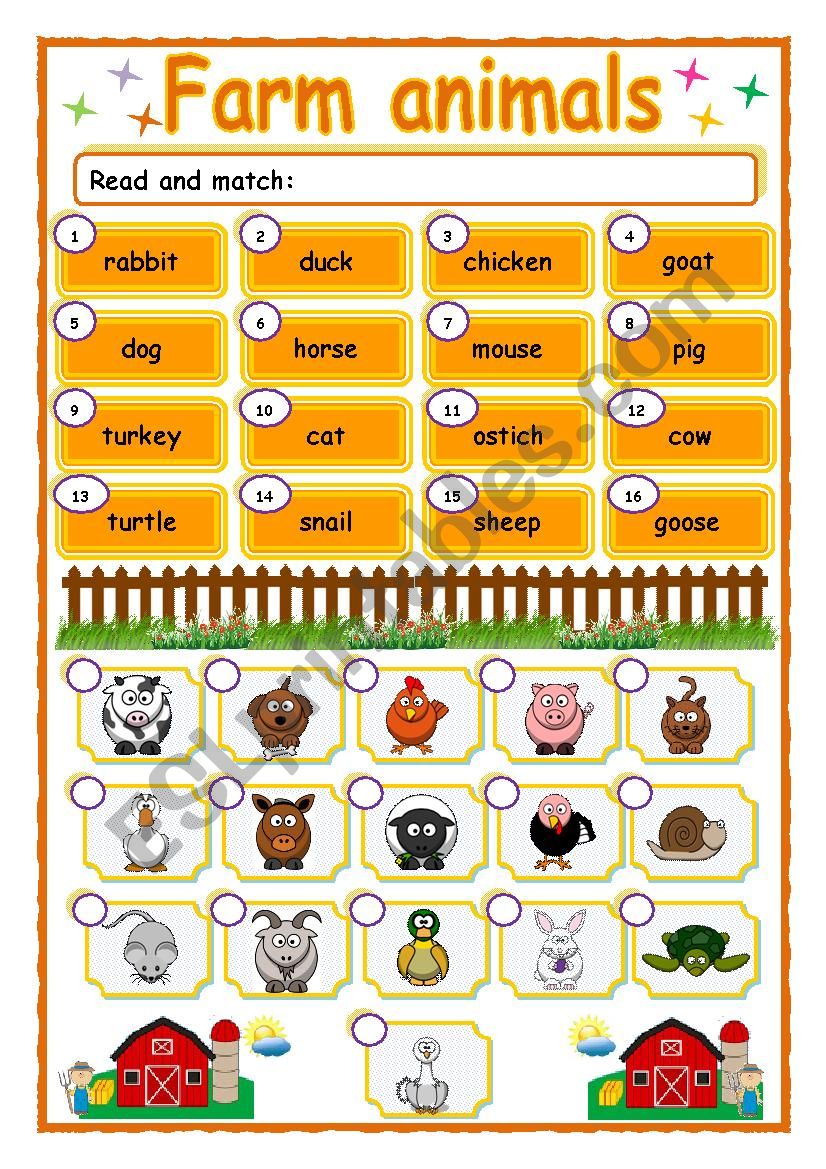 FARM ANIMALS worksheet