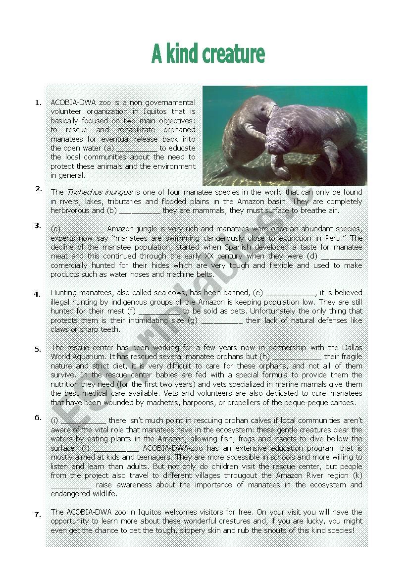 MANATEES worksheet