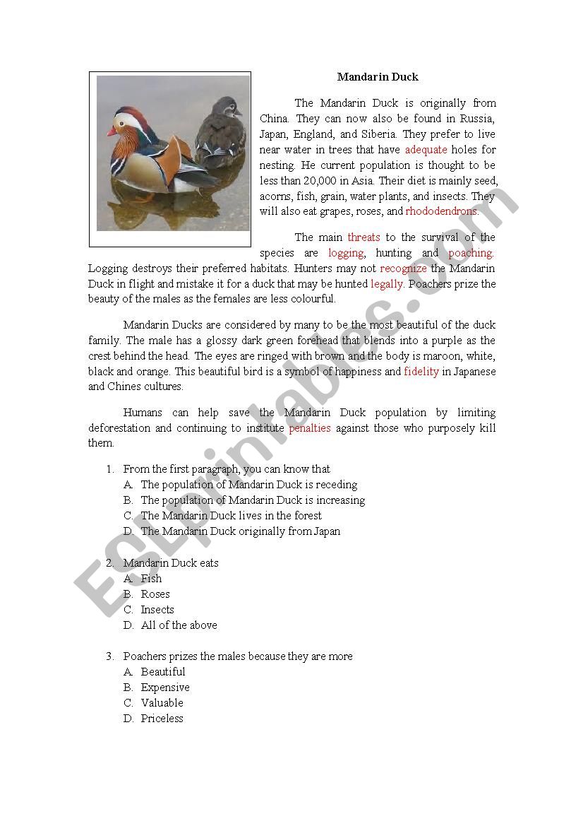 The Mandarin Duck  worksheet