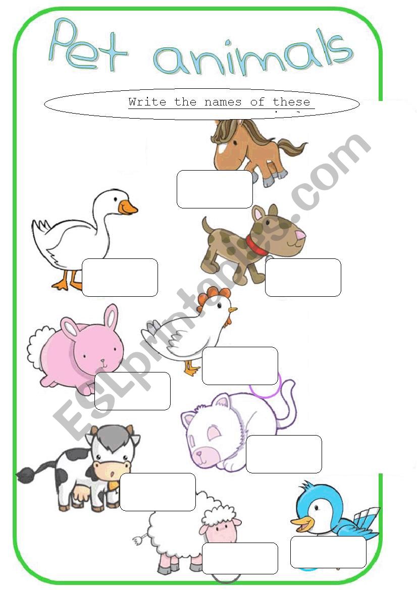 pet animals worksheet