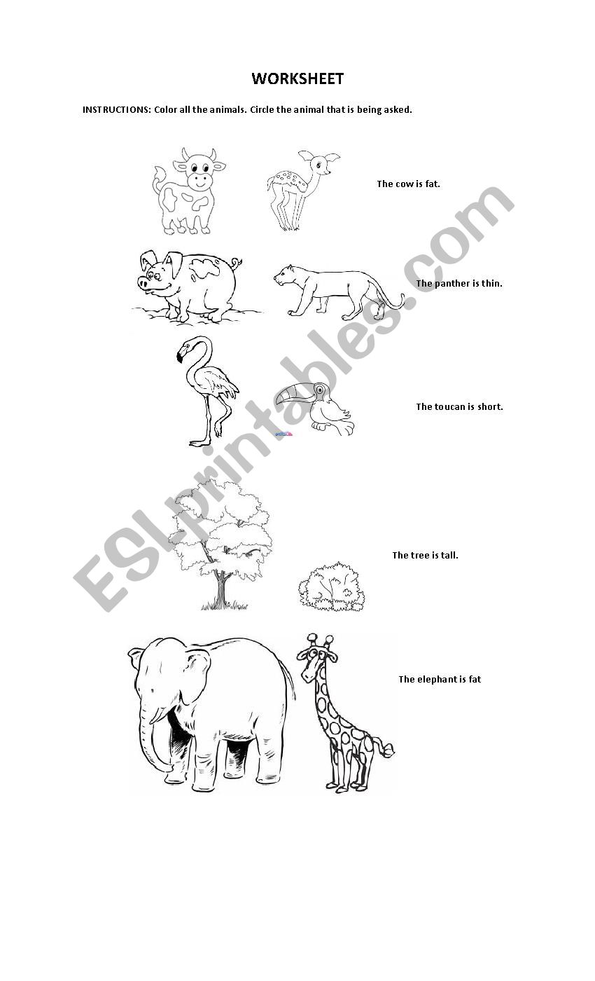 Animals and Adjectives worksheet