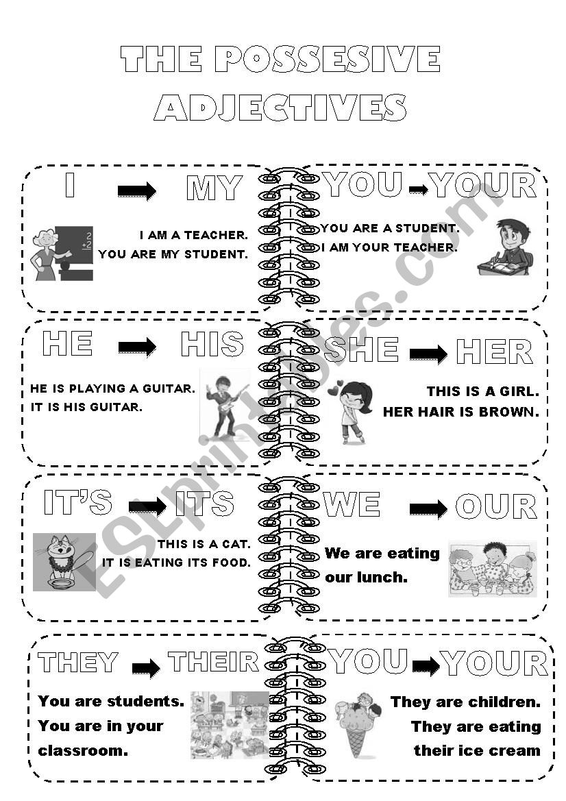 POSSESIVE ADJECTIVES worksheet