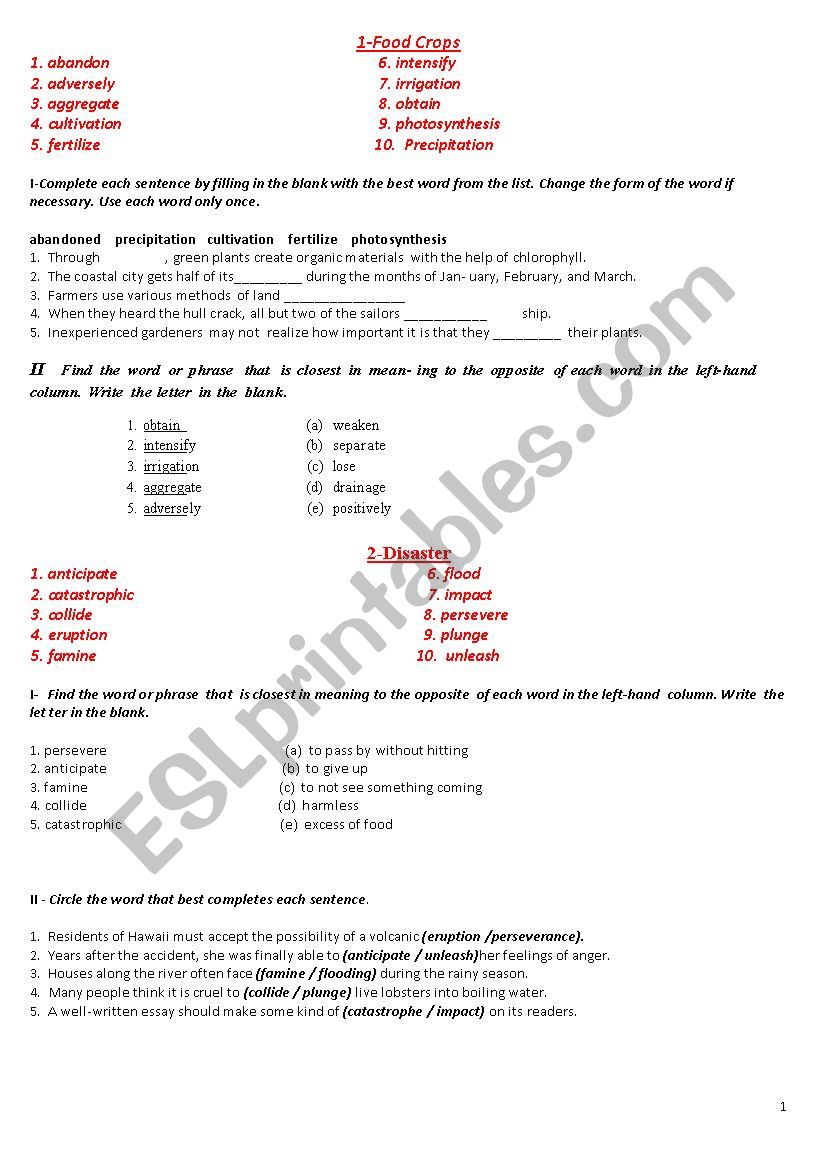 400 words for TOEFL/YDS exams worksheet