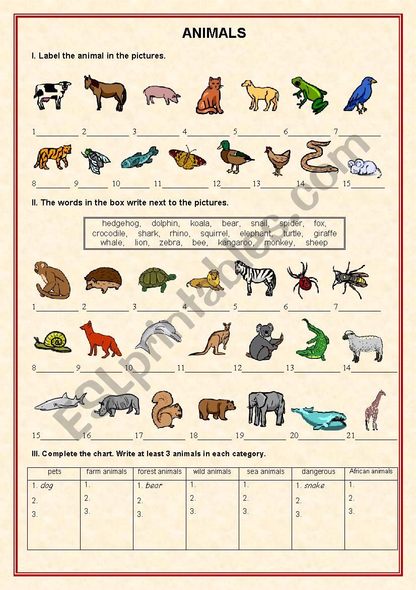 ANIMALS - exercises worksheet