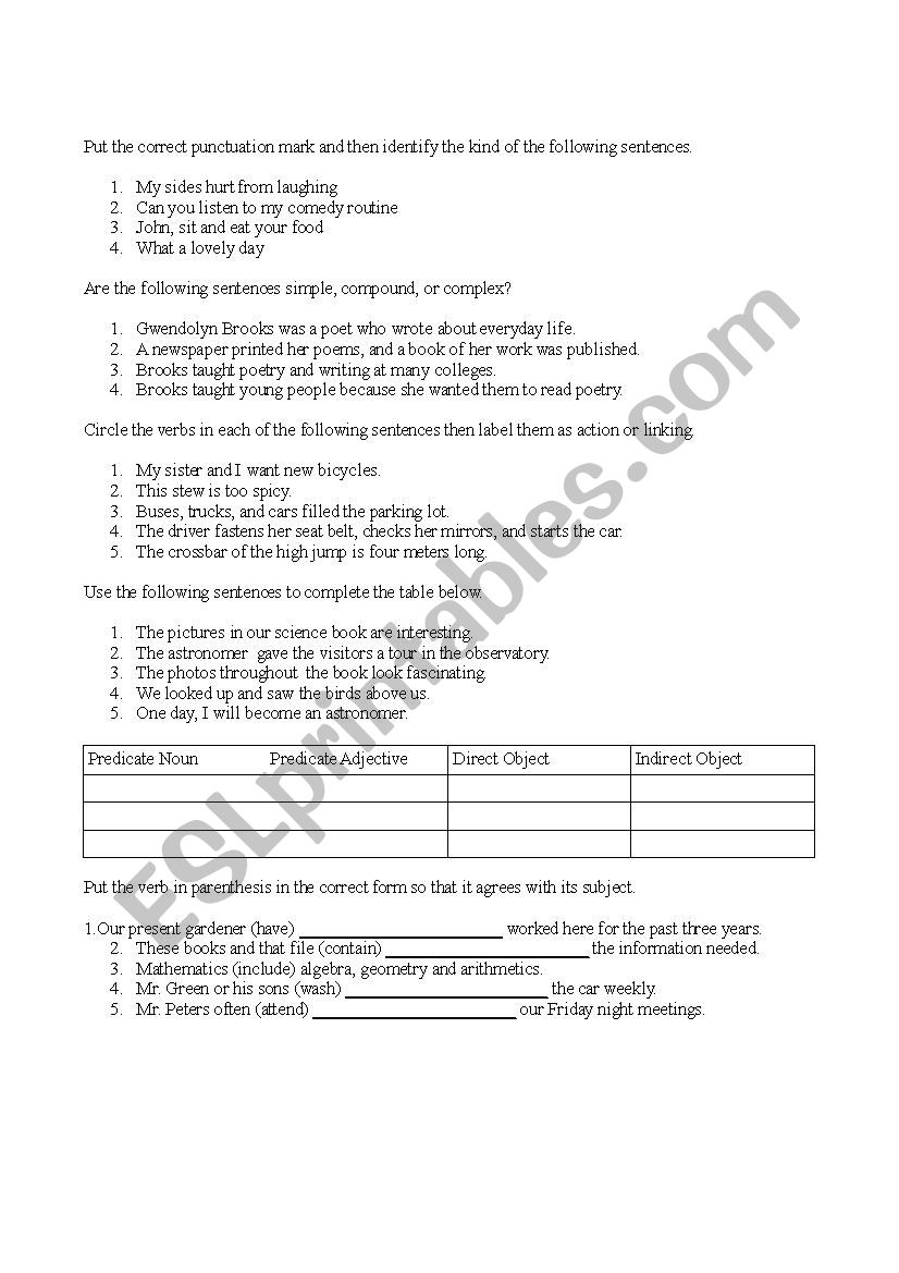 Grammar Worksheet worksheet