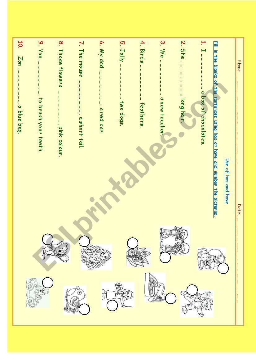 use of has and have worksheet
