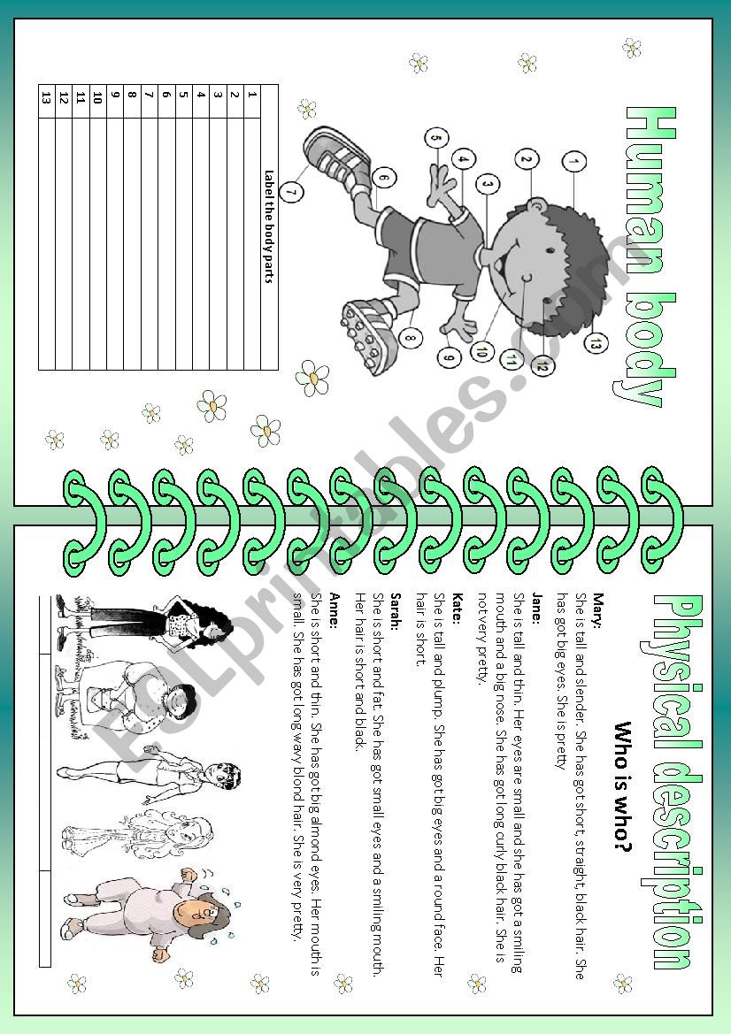 Vocabulary worksheet worksheet