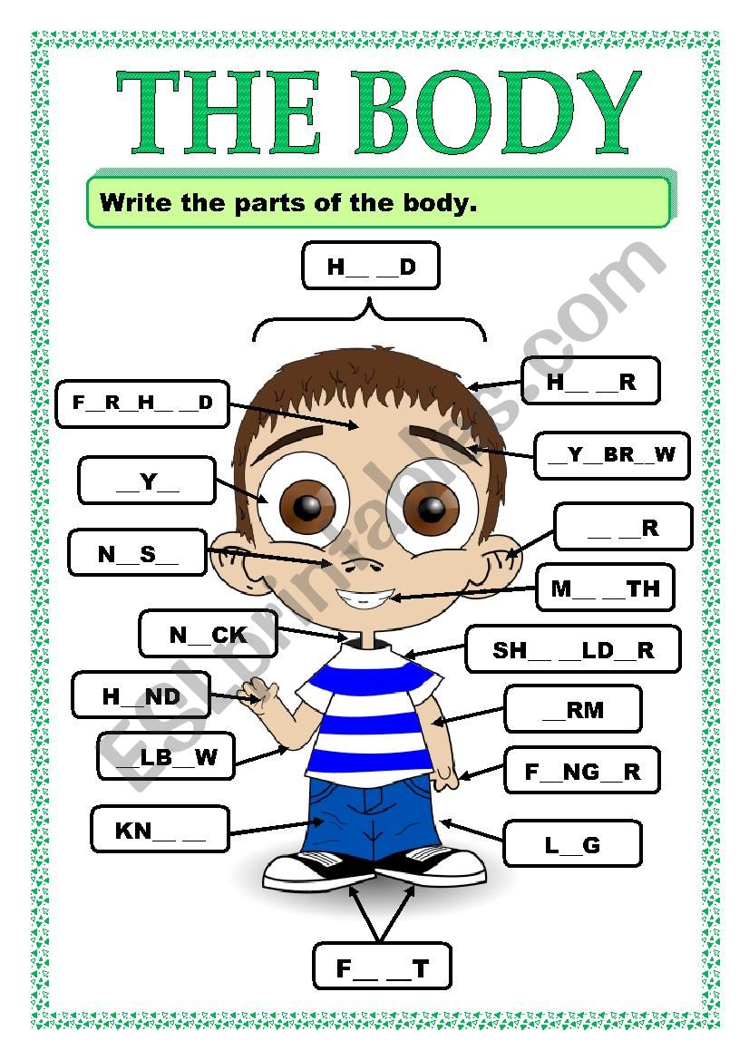 PARTS OF THE BODY_ACTIVITY worksheet