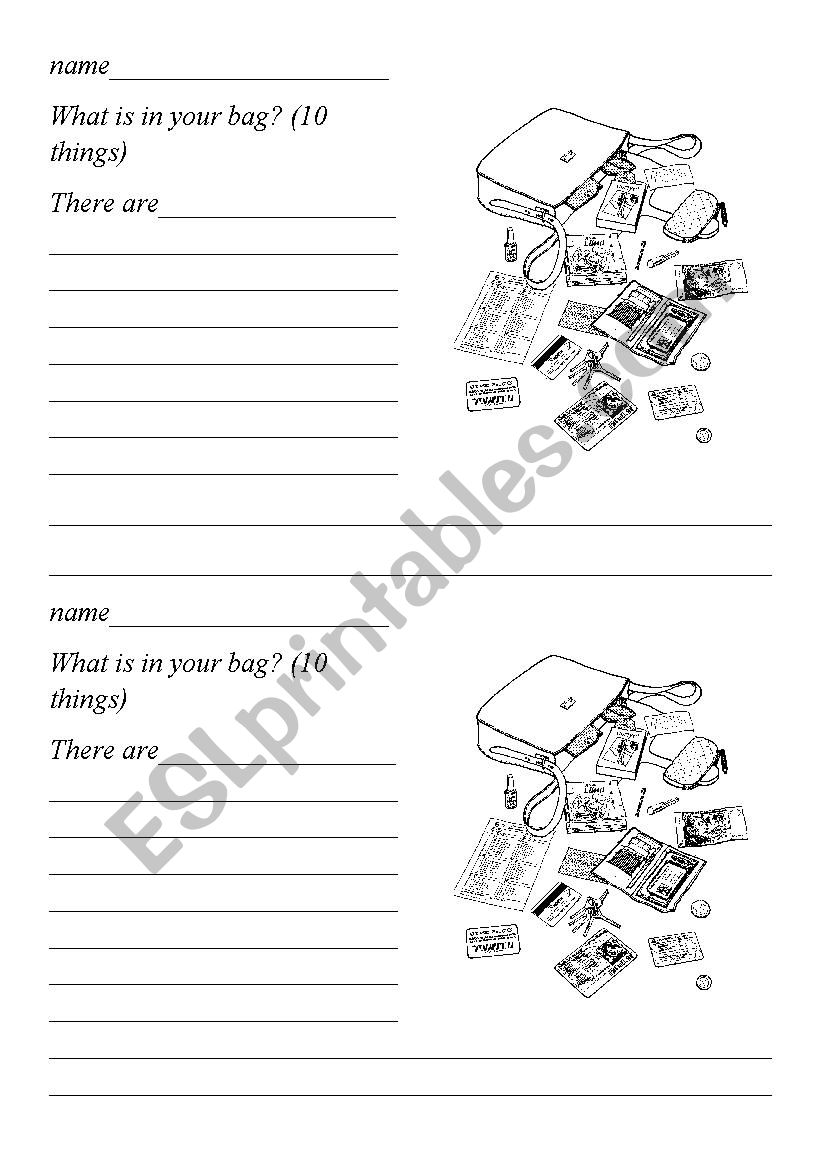 What is in your bag? worksheet