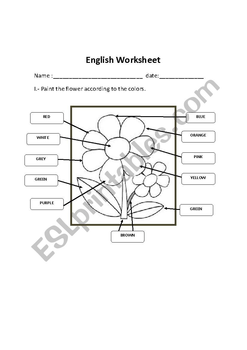 The colours worksheet