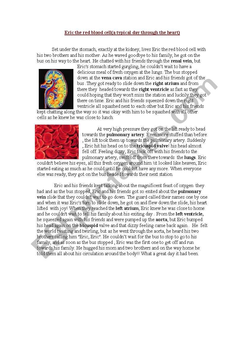red blood cells worksheet