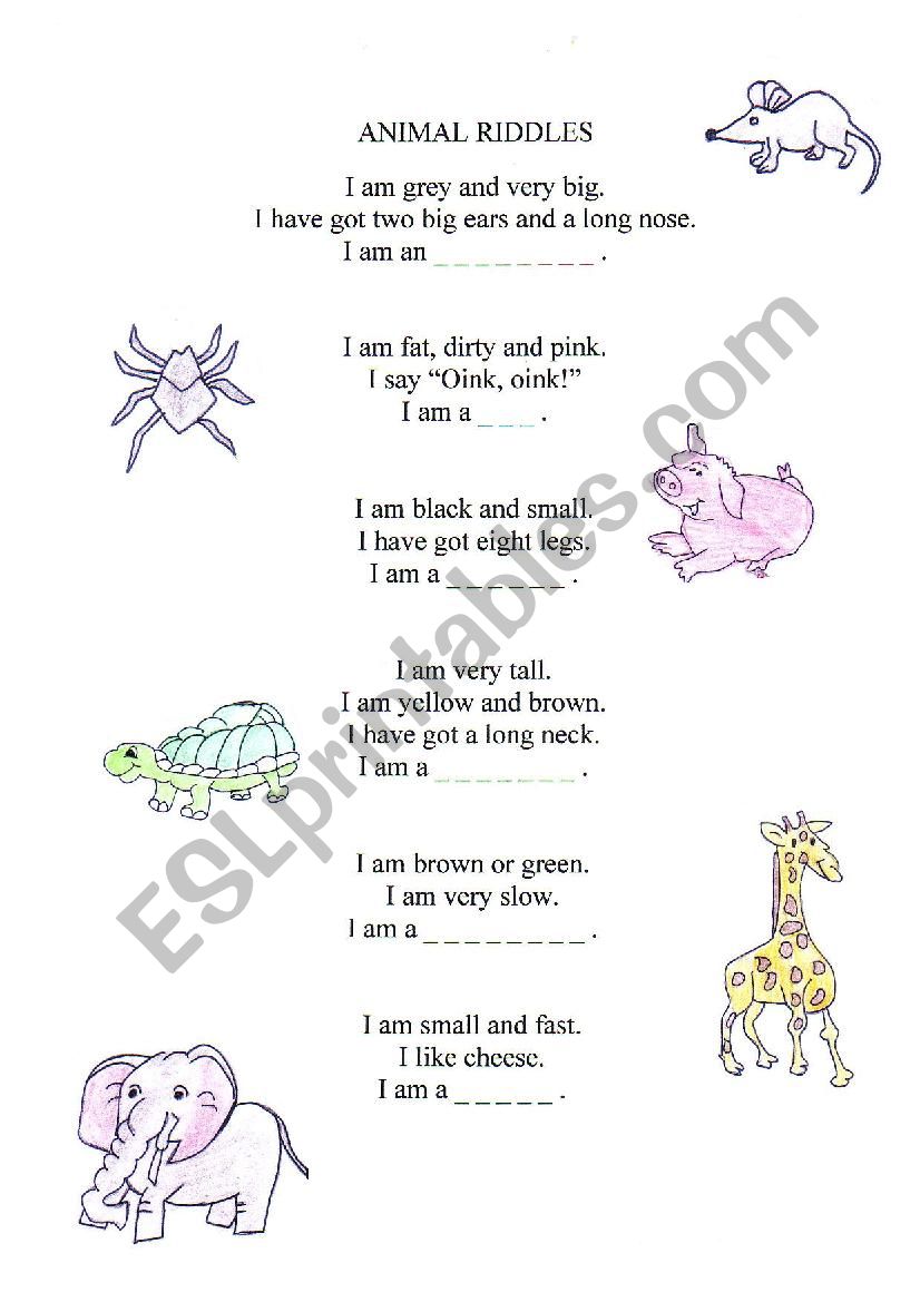 ANIMALS worksheet