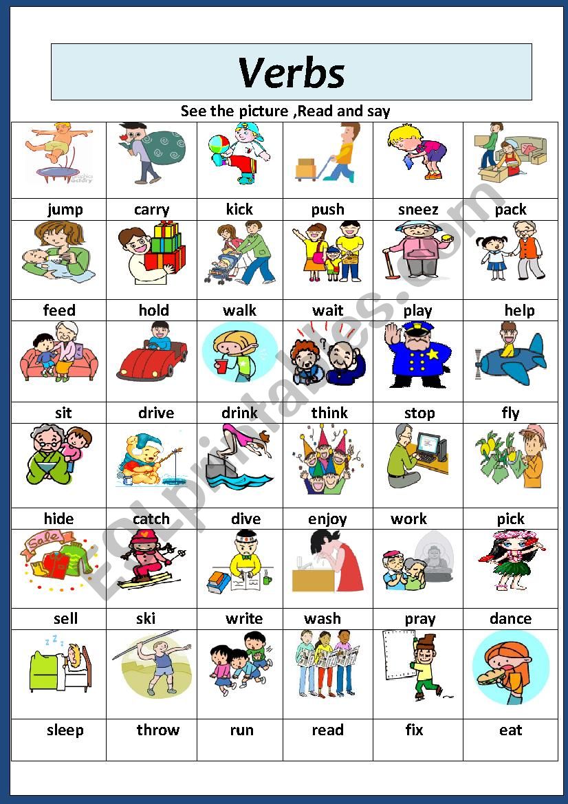 Basic Verbs Worksheet