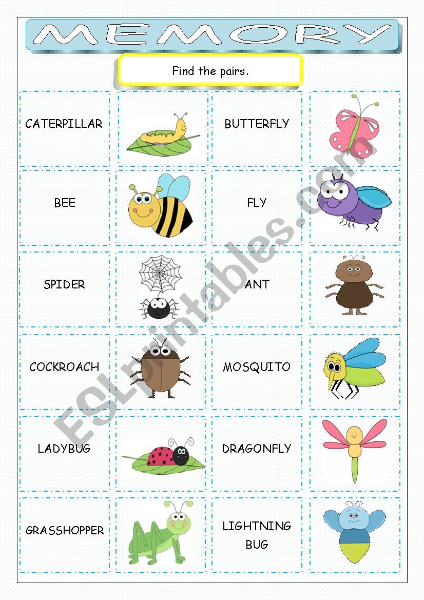 Insects Memory worksheet