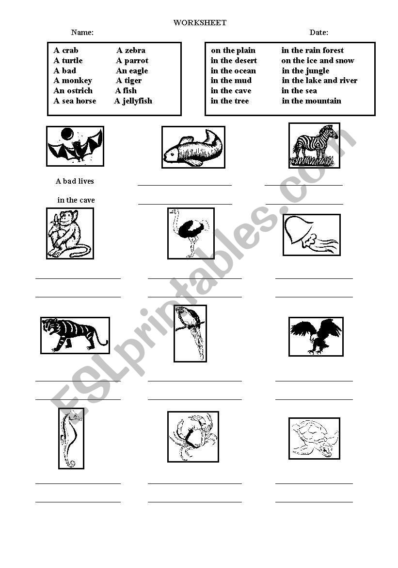 animals and where they live worksheet