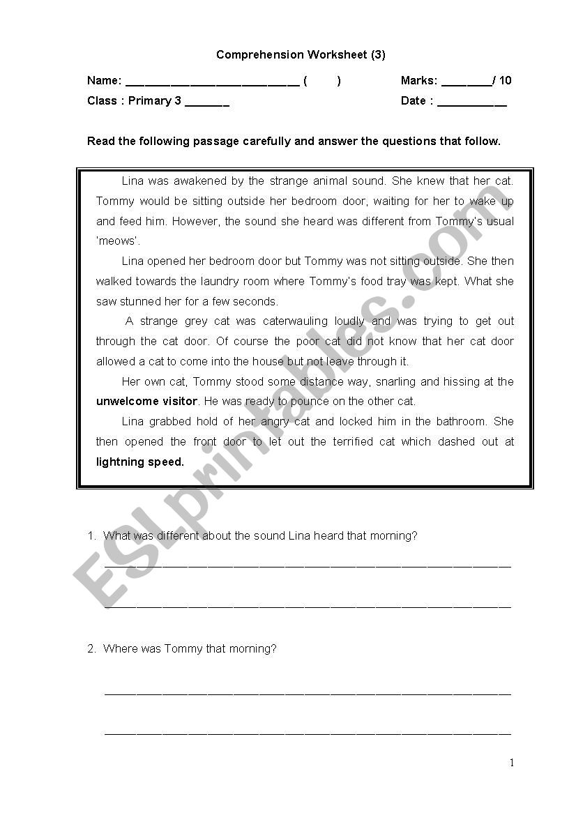 Comprehension Worksheet  worksheet