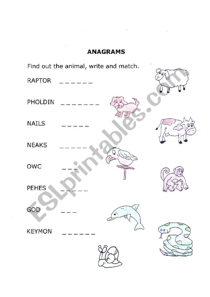 ANIMALS worksheet