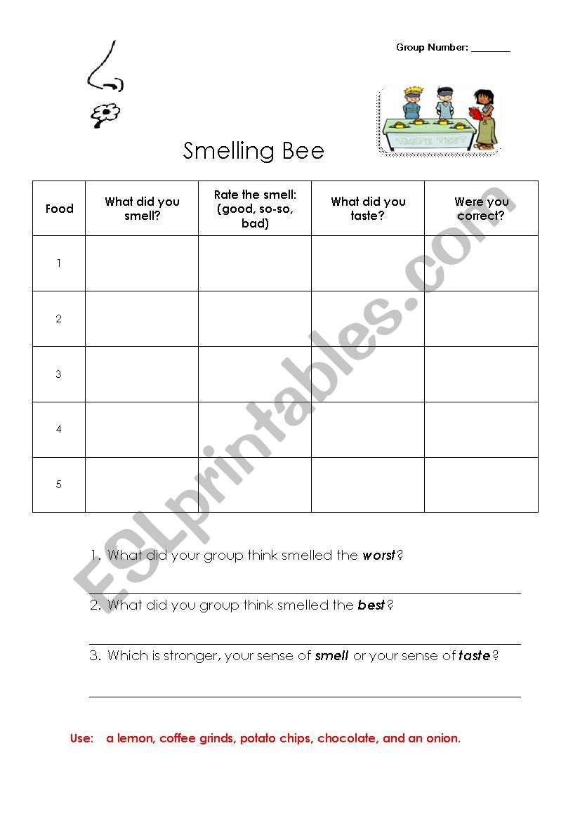  5 Senses worksheet