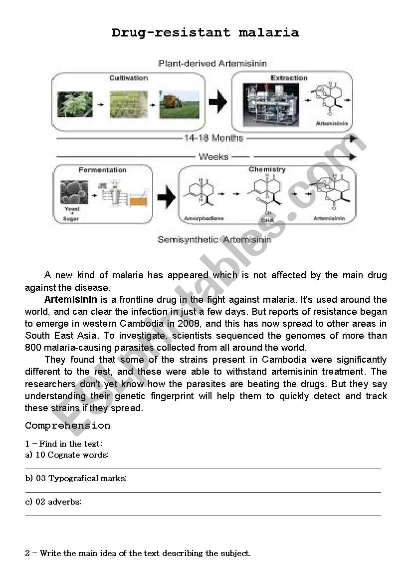 Drug-resistant malaria worksheet