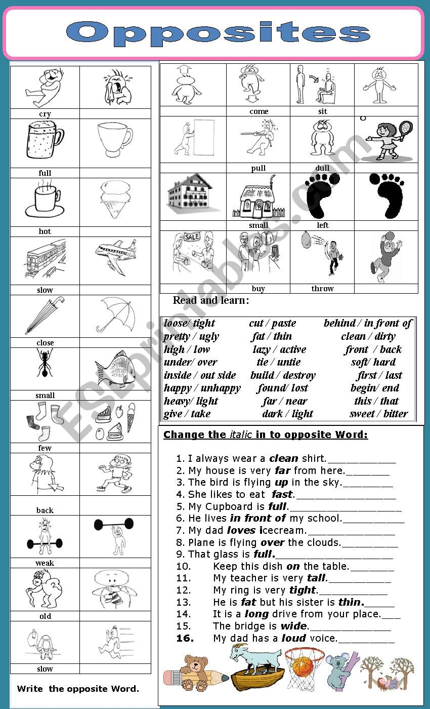 OPPOSITES worksheet