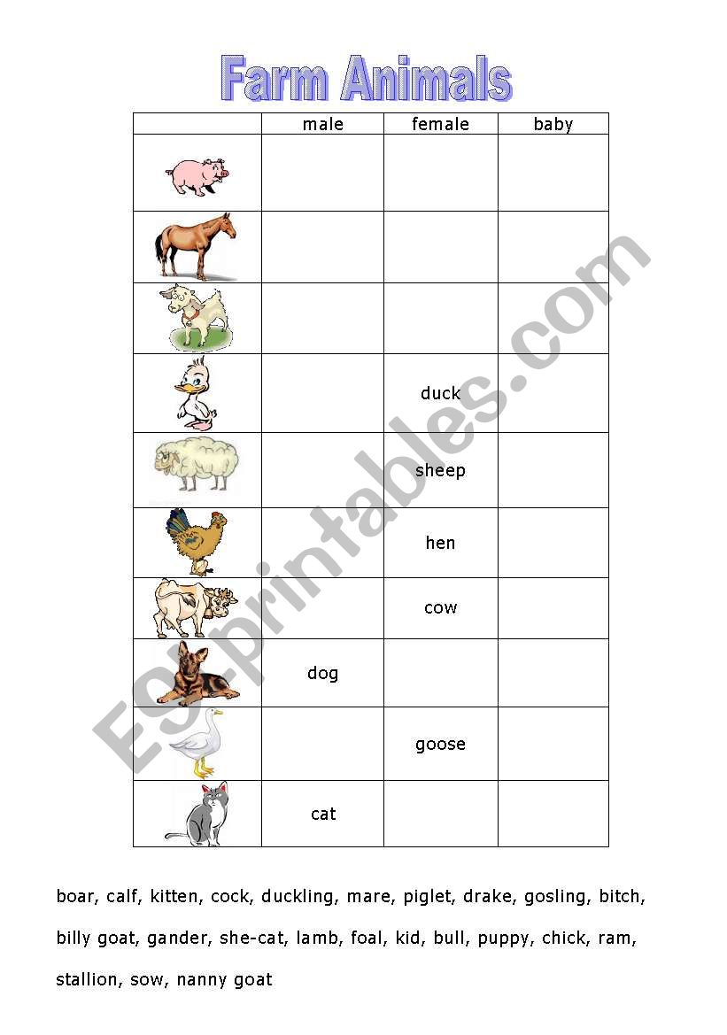 farm animals worksheet