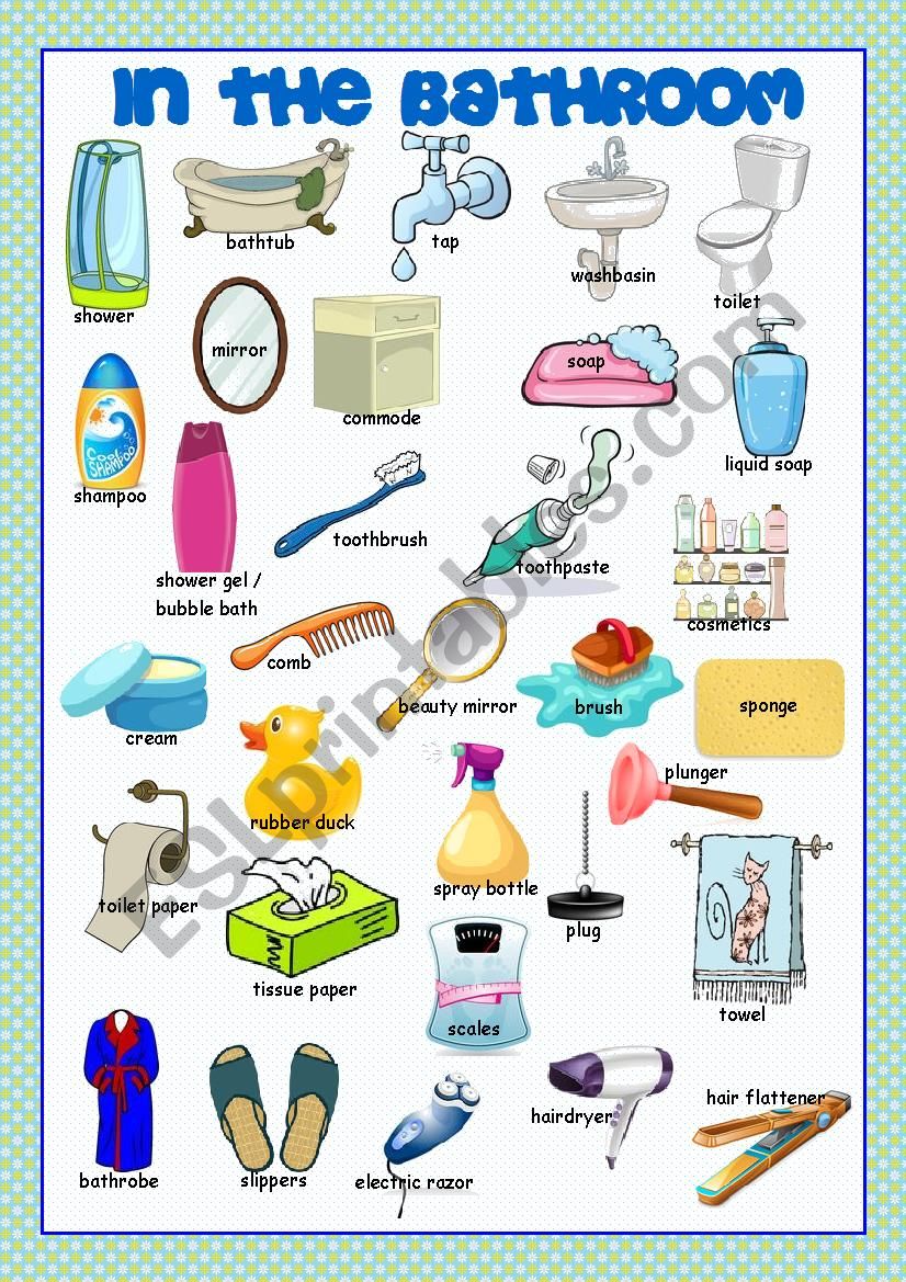 Bathroom Picture Dictionary worksheet