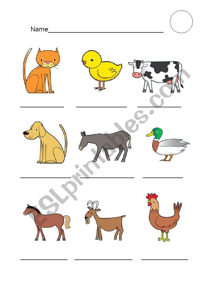 animals worksheet