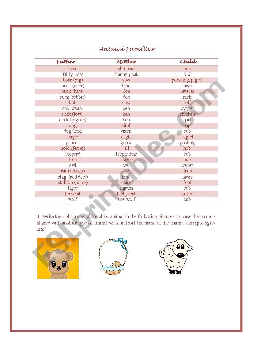 Animals and their families worksheet