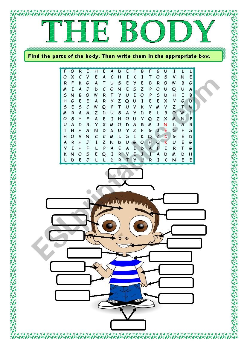 PARTS OF THE BODY_WORD SEARCH worksheet