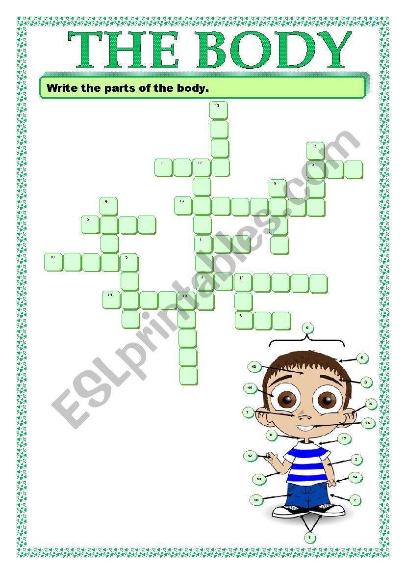 PARTS OF THE BODY_CROSSWORD worksheet