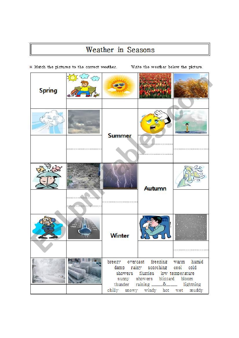 Weather and Seasons worksheet