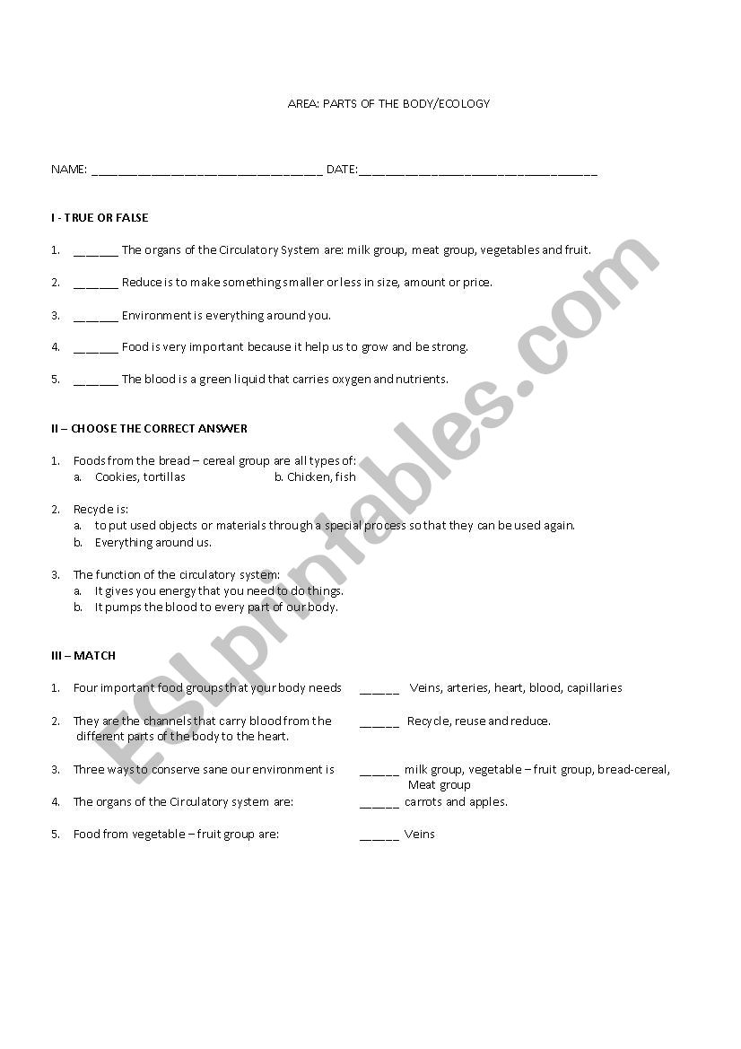 Circulatory system worksheet