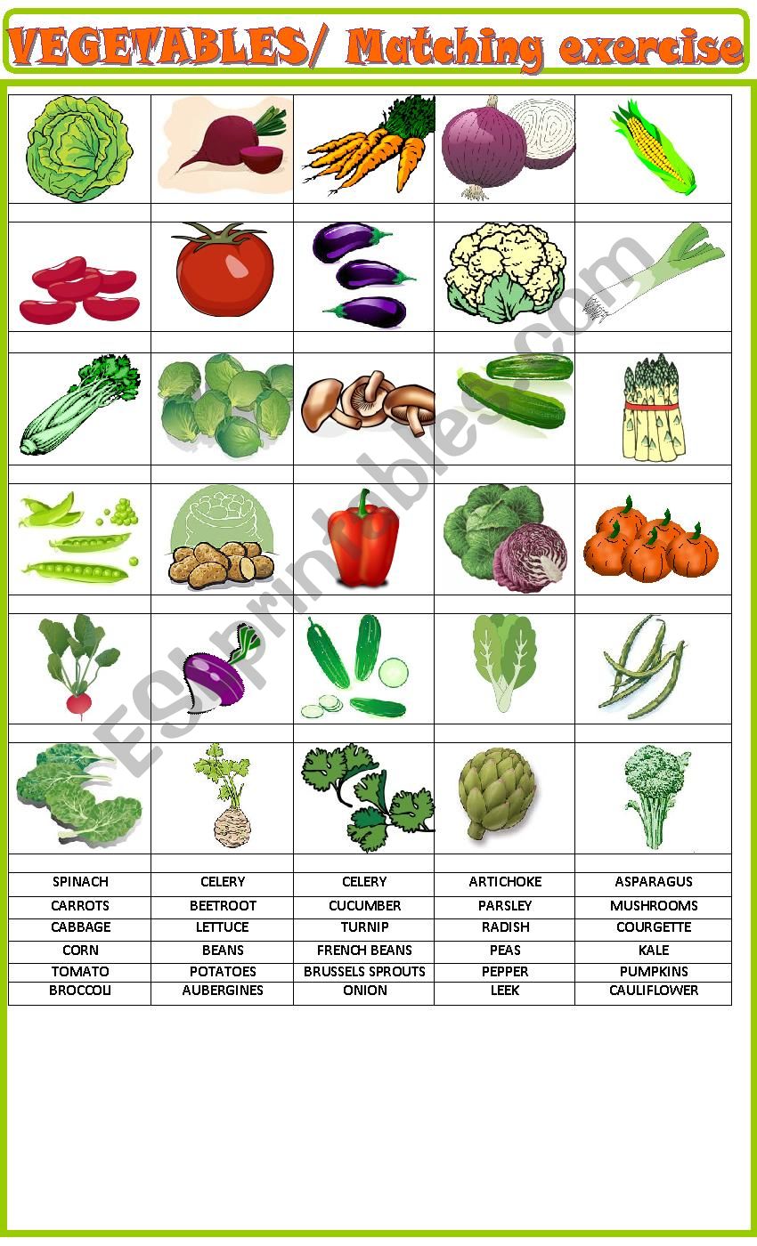 Vegetables:Matching exercise worksheet