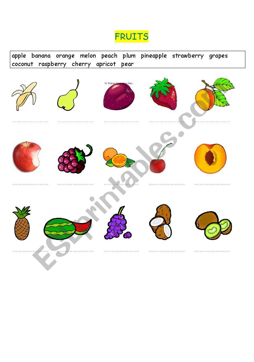 FOOD (part 2) worksheet