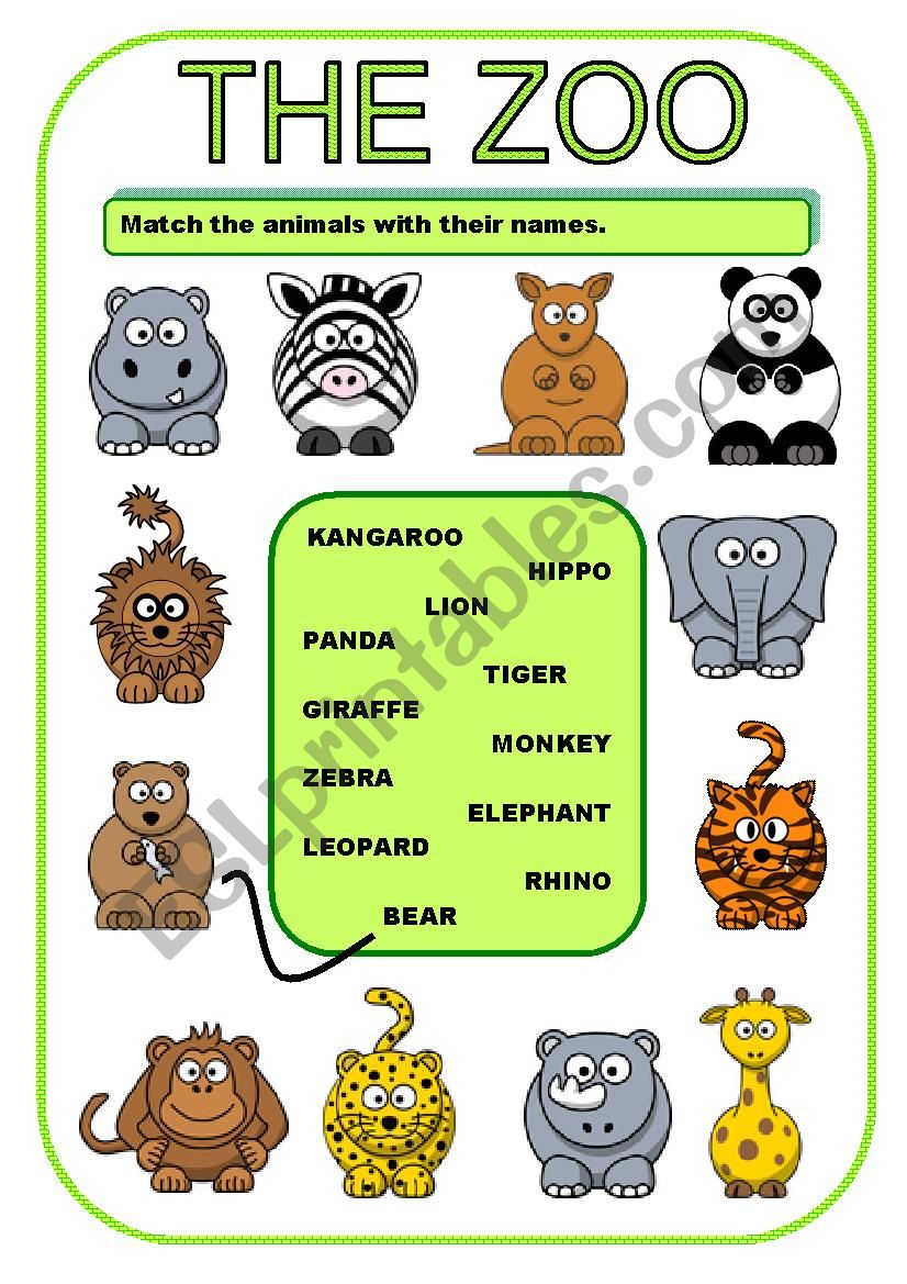 THE ZOO - ACTIVITY worksheet