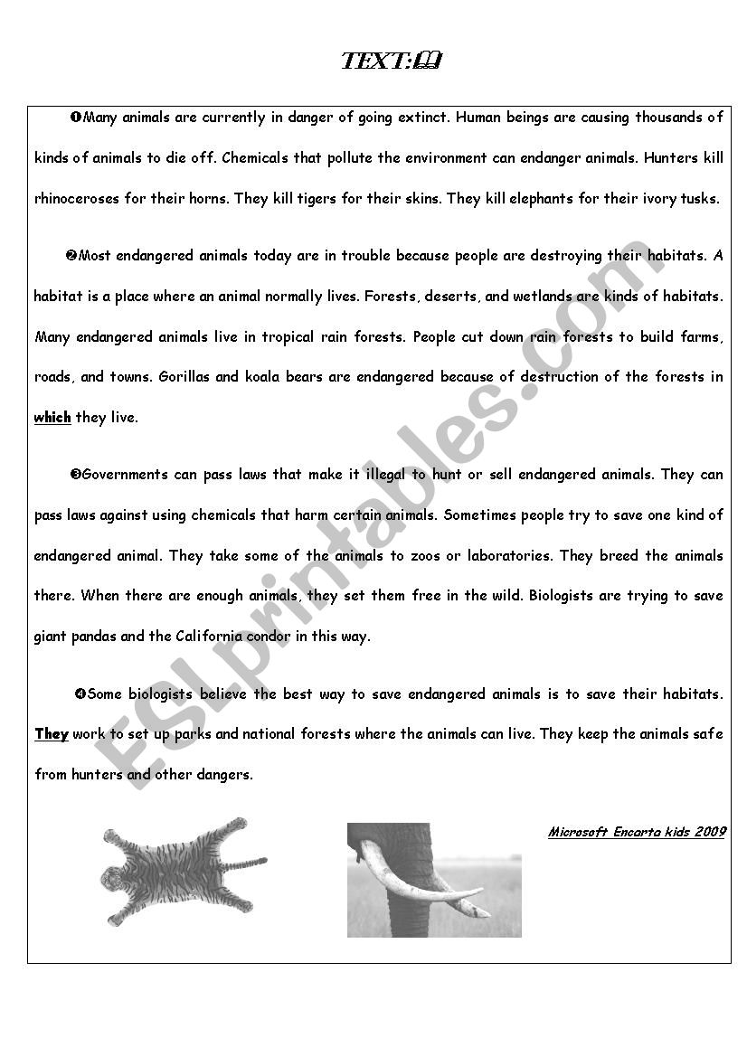 9 th form full term test worksheet