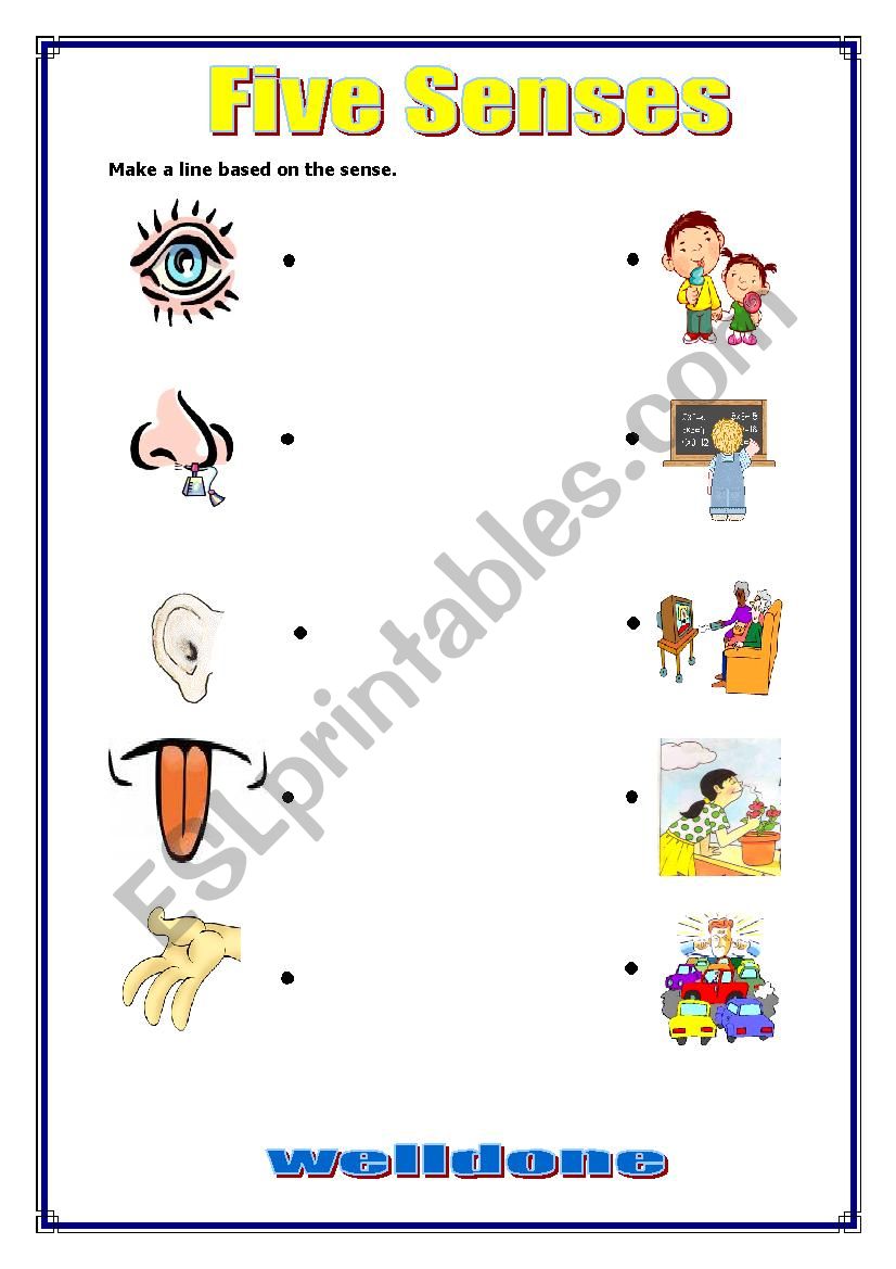 five senses worksheet