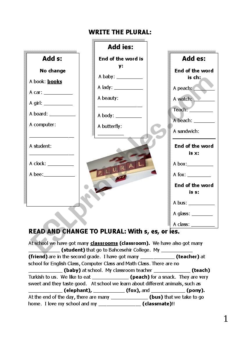 Singular and Plural worksheet