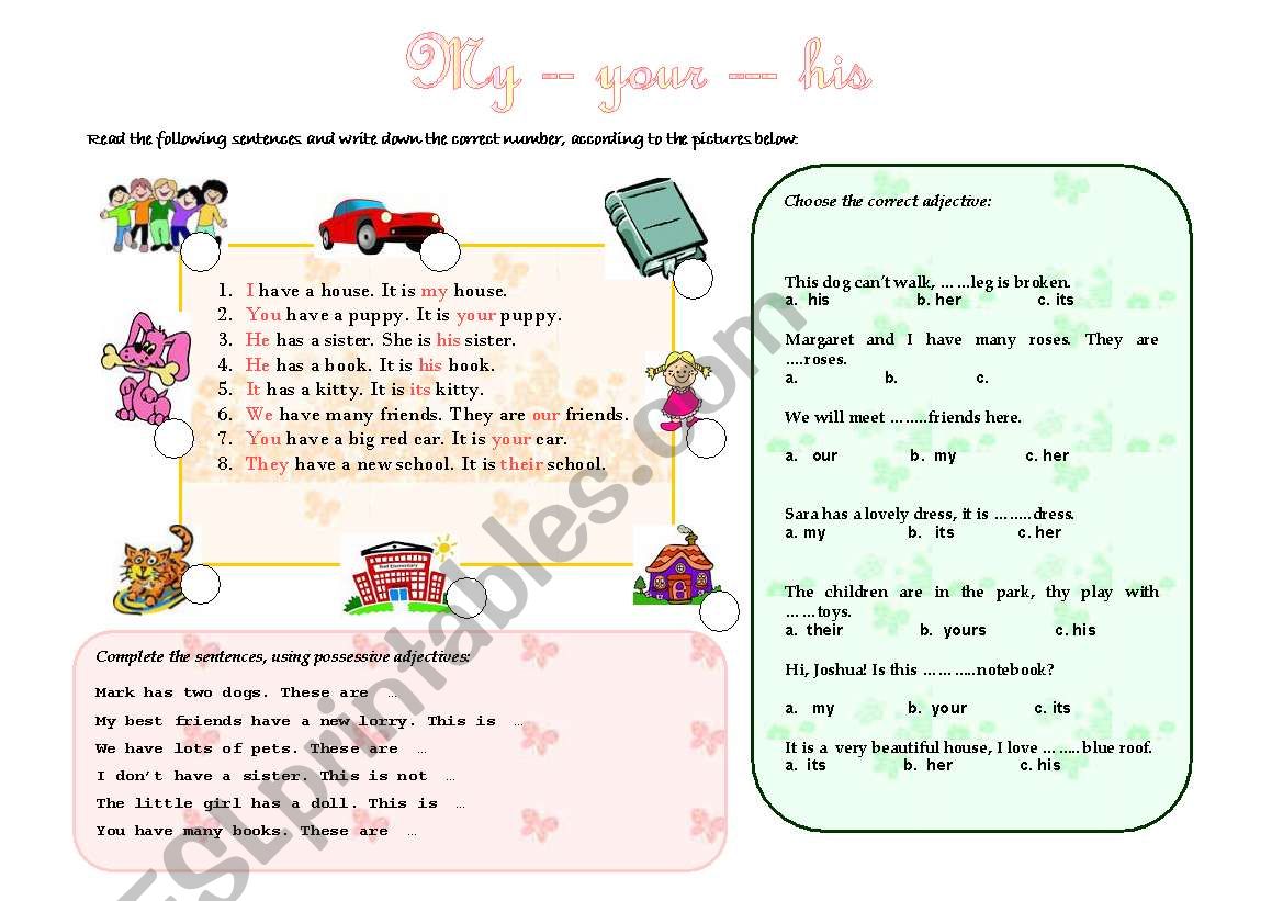 POSSESSIVE ADJECTIVES worksheet