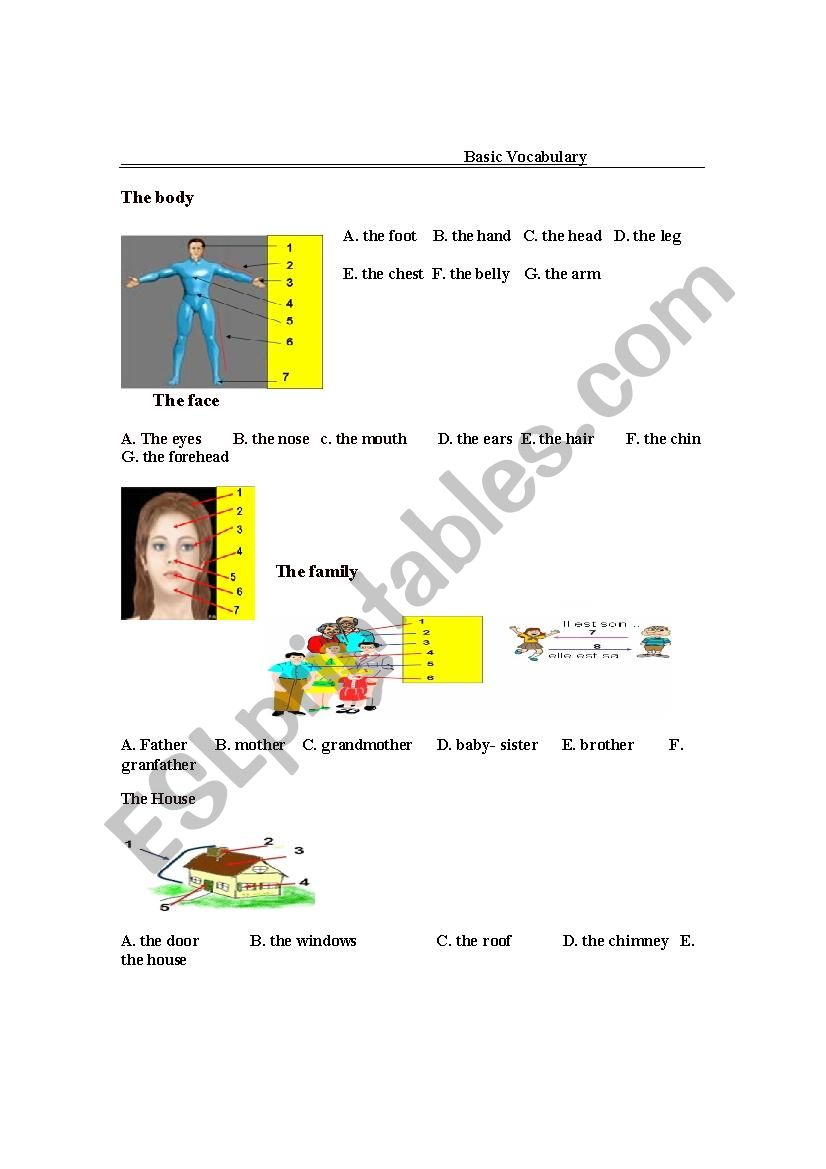 basic vocabulary  worksheet