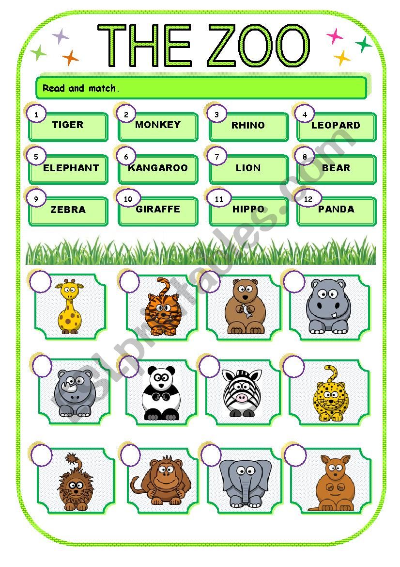 THE ZOO - ACTIVITY 2 worksheet